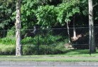 Doubtful Creekmesh-fencing-10.jpg; ?>